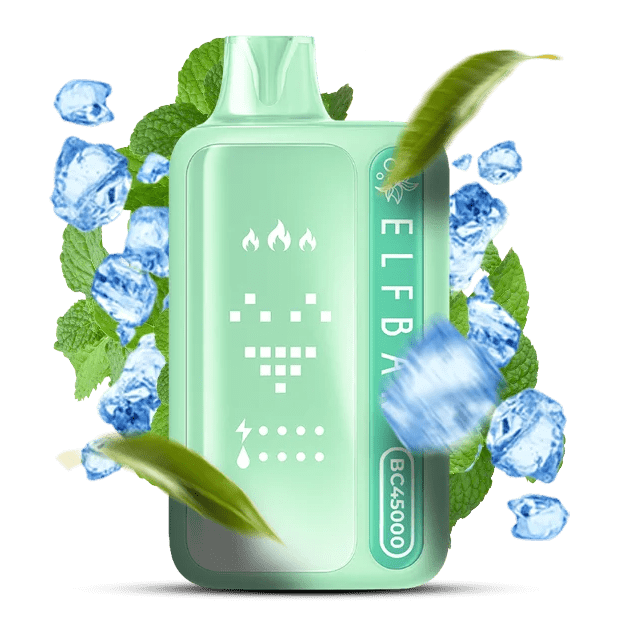 ELF BAR BC45000 Double Mint