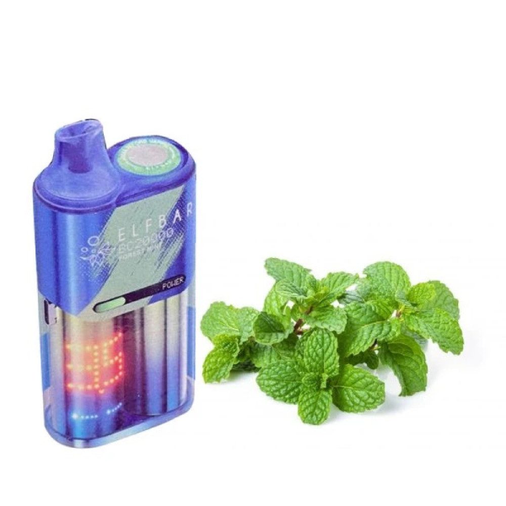Elf bar BC 20000 Forest Mint