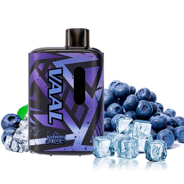 VAAL E5000 Blueberry Ice